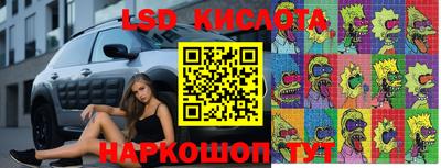 СК Будённовск