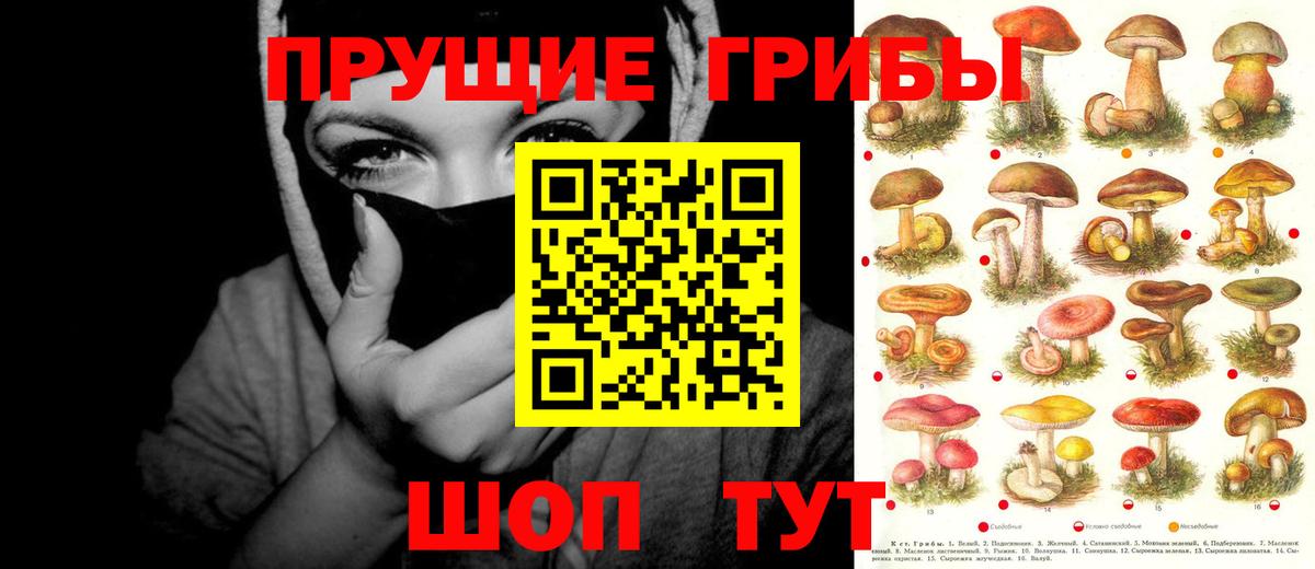 Галлюциногенные грибы мухоморы Таганрог