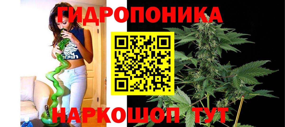 Конопля семена  Вход с VPN  Каннабис планчик  Конопля Bruce Banner  Таганрог 